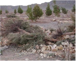 The part-Jewish cemetery at Yazd in Iran: Jews find themselves living in a constant state of anxiety, never sure how the mullah might limit their religion. Worse off are the Baha’is, who are persecuted, sent to jail and banned from access to higher education. (Photo: Taeedxy)