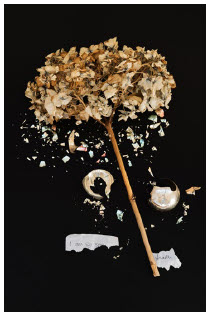 Long knives and a silent symphony 5 An image from Playing Dead, an intensely intimate exhibition by Project X Award winner Joyce Crago, at the Ottawa Art Gallery. (Photo: Joyce Crago)